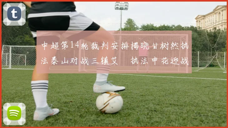 中超第14轮裁判安排揭晓甘树然执法泰山对战三镇艾堃执法申花迎战新鹏城