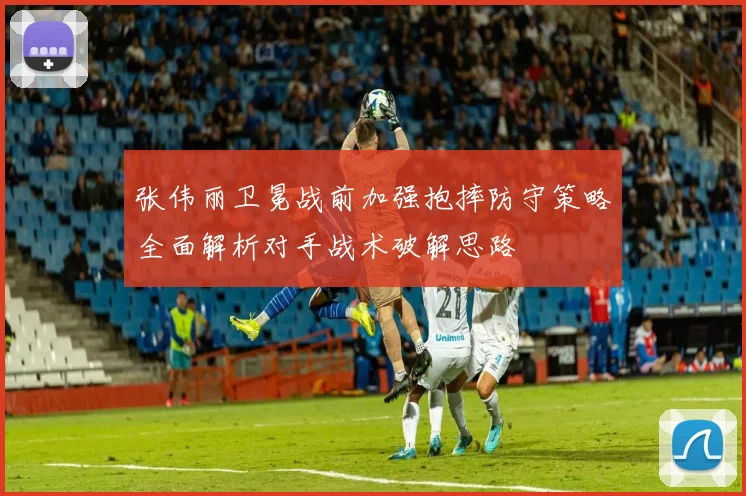 张伟丽卫冕战前加强抱摔防守策略全面解析对手战术破解思路